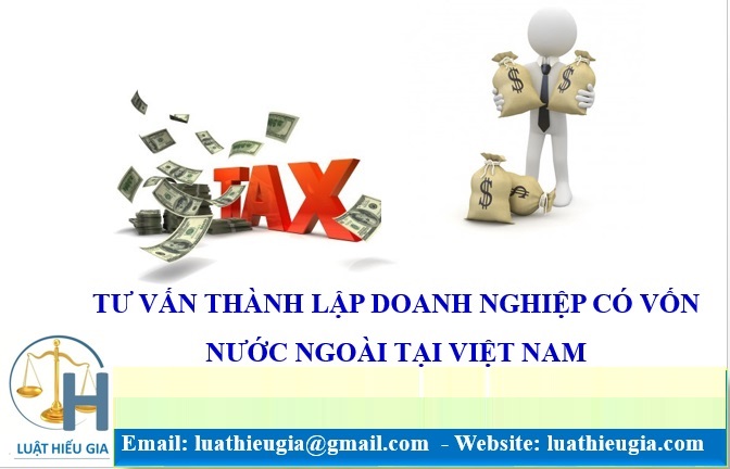Tư vấn thành lập doanh nghiệp cho nhà đầu tư nước ngoài tại Việt Nam